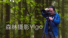 全民烧脑3去广告版